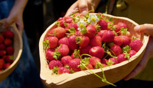 Sour, Salty & Alive - Fermented Fruits