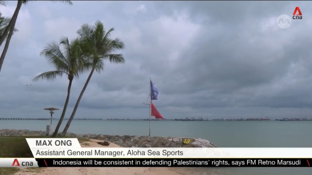 Research ongoing to see how climate change affects Singapore's flora and fauna: NParks | Video