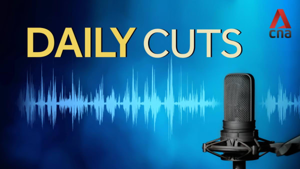 Daily Cuts