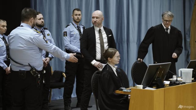 Norwegian mass killer Breivik in 'deep depression', lawyer tells court