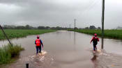 Relentless rains wreak havoc across Australia's east